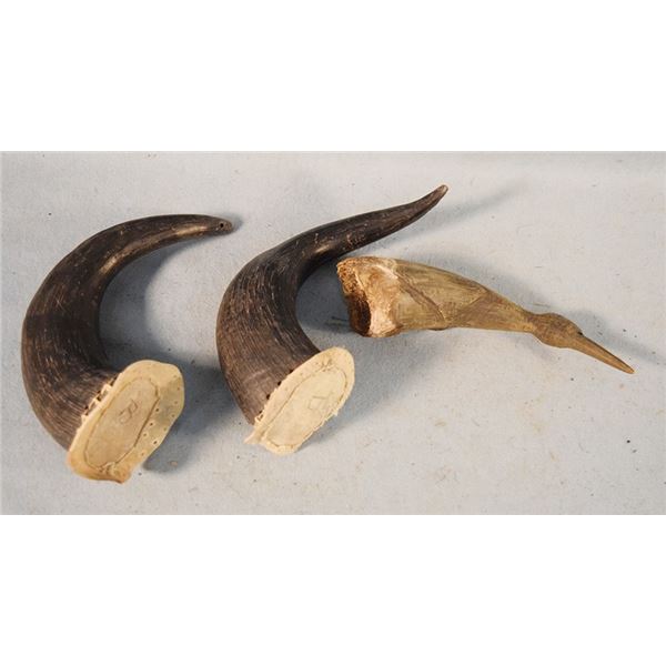3 pcs: pair of horn caps & carved horn birds