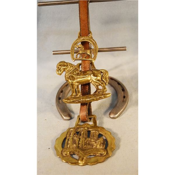 String of bridle nose band attachments
