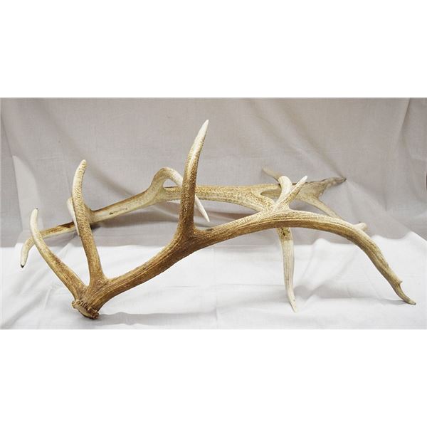 3 pcs: Set of elk sheds and Moose shed, 17" long, 7" palm