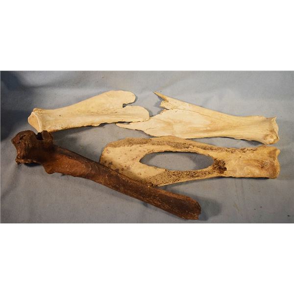 4 pcs: Assortment of bone tools and diggers