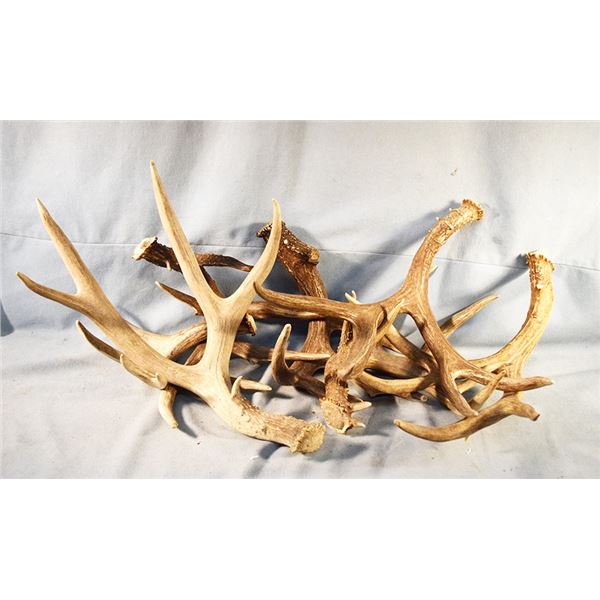 (7) Deer horn sheds