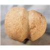 Image 6 : (5) Rock hammers