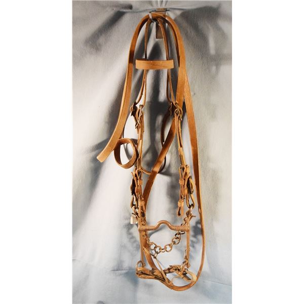 U.S. Cavalry bridle