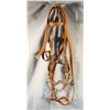 Image 1 : U.S. Cavalry bridle