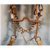 Image 3 : U.S. Cavalry bridle
