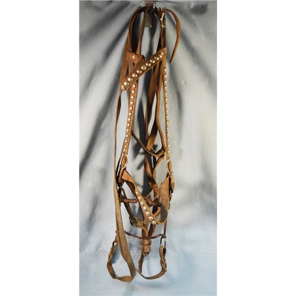 Vintage studded bridle with curb bit