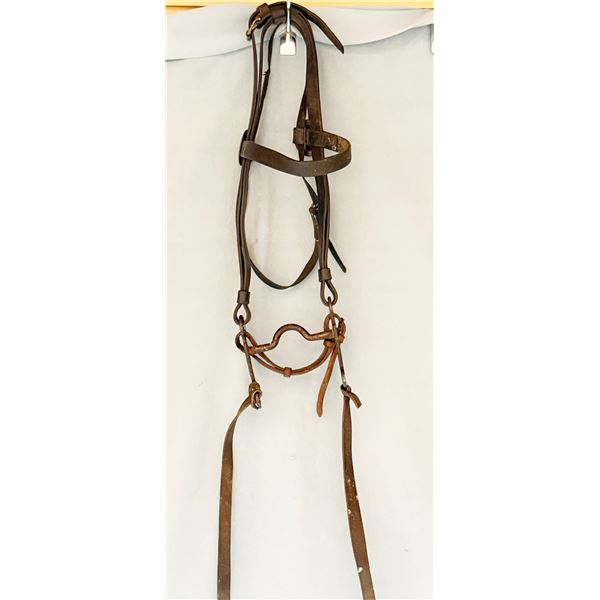 Al Furstnow bridle w/ iron bit, brass rosettes