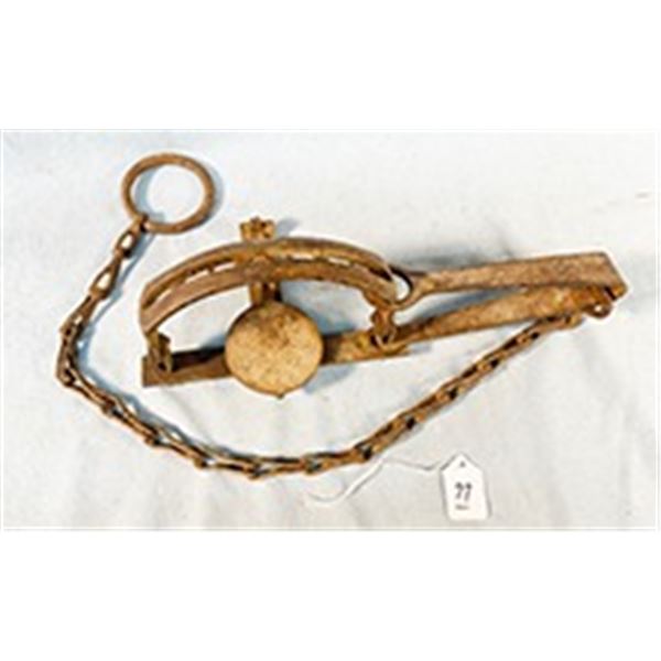 S. Newhouse #14 coyote trap w/chain