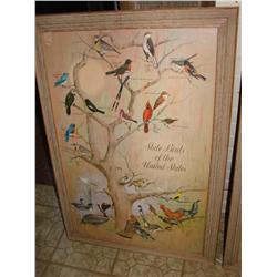 Framed "State Birds of the US" Print