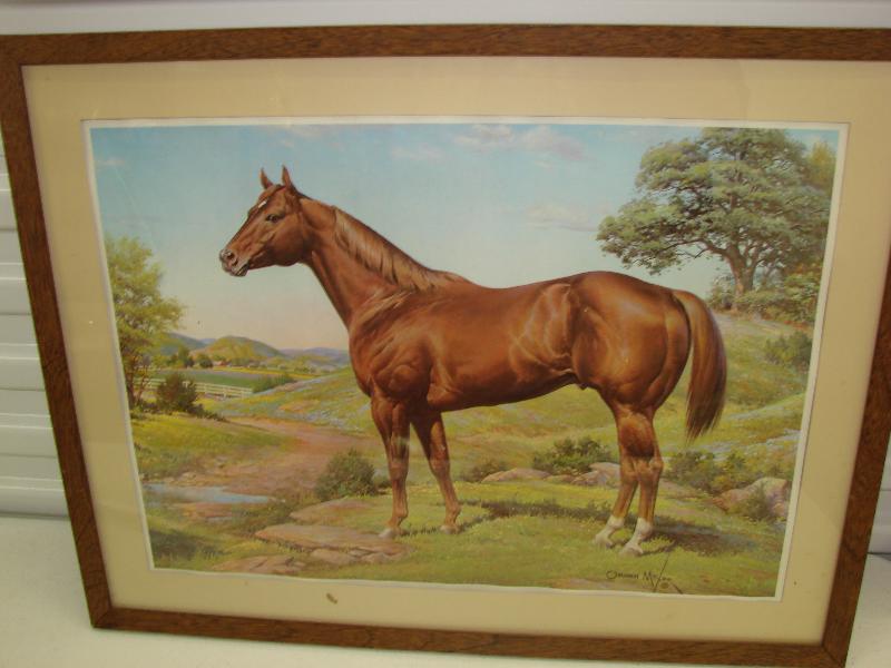 Orren Mixer "Ideal Am.Quarter Horse" Print