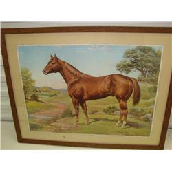 Orren Mixer "Ideal Am.Quarter Horse" Print