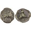 Image 1 : CALABRIA: Tarentum, AR nomos (didrachm) (7.88g), ca. 302-280 BC, NGC AU