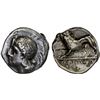 Image 1 : LUCANIA: Velia, AR didrachm (7.43g), ca. 334-300 BC, F-VF