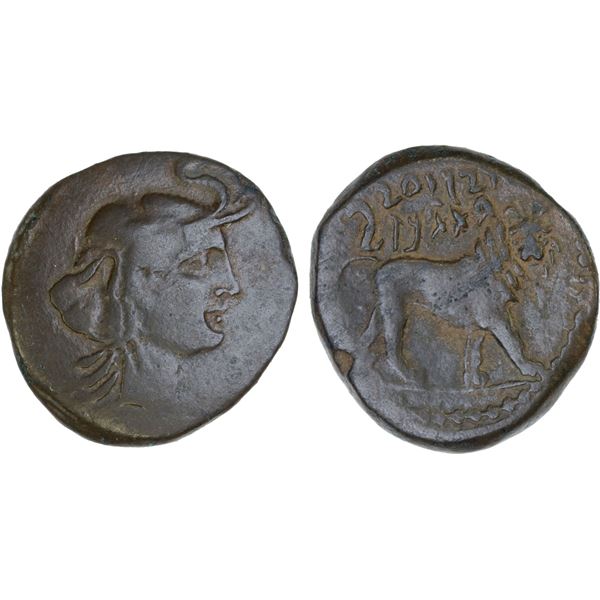 NUMIDIA: Juba I, ca. 60-46 BC, AE22 (7.87g), VF