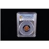 Image 2 : GERMANY: Federal Republic, AE pfennig, 1950-G, PCGS Proof 65 RD CAM