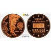 Image 1 : ARAUCANIA AND PATAGONIA: Felipe I, 1952-2014, 100 pesos, 1995, PCGS Specimen 69 RD