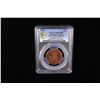 Image 2 : GALAPAGOS ISLANDS: AE 25 dólares, 2009, PCGS MS67 RD