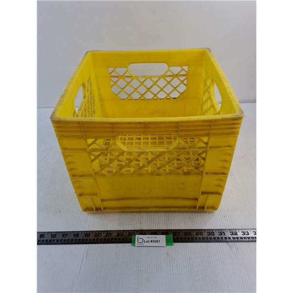 Plastic Milk Carton - 13x13x11"
