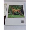 Image 5 : (2) Hardcover Horses Books