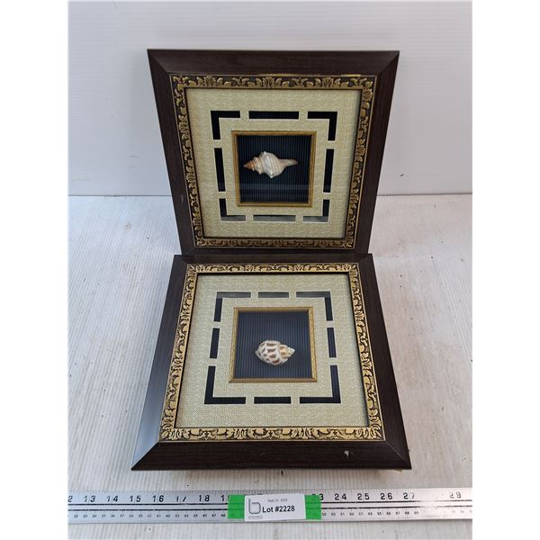 (2) Framed Sea Shell Wall Art 12" x 12"