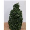 Image 2 : Artificial Christmas Tree with Christmas Tree Lights - Powers On, As Is, 33", Cannot Ship