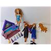 Image 3 : Barbie/Doll Lot- Frozen, Supergirl, Misc.