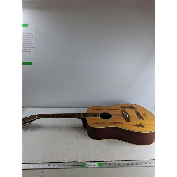 Acoustic Guitar - PICK UP