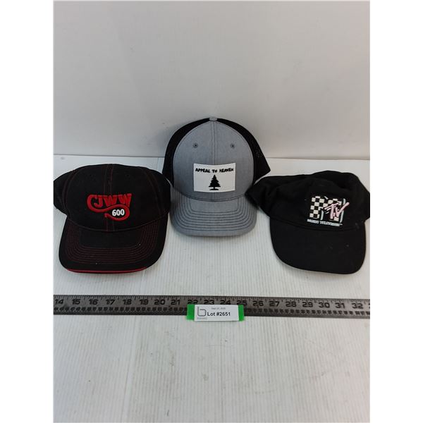 (3) Adjustable Size Baseball Caps