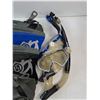 Image 6 : (2) Pairs of Swim Fins, Diving Goggles, Breathing Tubes