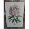 Image 2 : Plastic Framed "Rhododendrum" Wall Art - 17.5" x 22" - Pickup Preferred