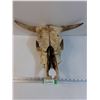 Cow Skull - 15" x 18" x 8"