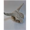 Image 4 : Cow Skull - 17" x 9" x 8"
