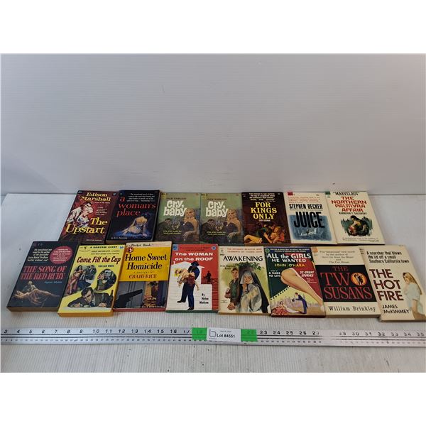 Vintage Books - Stephen Becker, The Hot Fire, The Woman on the Roof