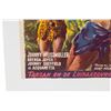 Image 2 : Belgian Poster - Tarzan and the Leopard Woman