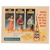 Image 1 : Fire Down Below Half Sheet Movie Poster