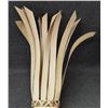 Image 12 : POTAWATOMIE BASKETRY CORN COB (JENNIE BROWN)