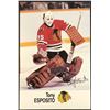 Image 1 : 1988-89 ESSO TONY ESPOSITO (HOF)