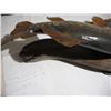 Image 9 : Wall hanging mounted on wood (36 in long )- missing front back fin