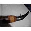 Image 3 : 23 in long mounted steer horn