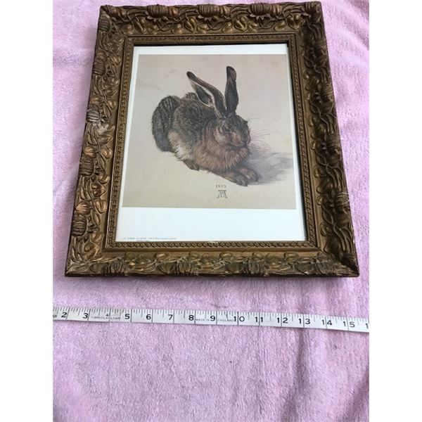 #544: Print of a hare in an antique frame. 318 Durer Le Lievre-The Hare. Aquarelle et gouache, Alber