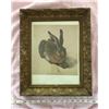 Image 2 : #544: Print of a hare in an antique frame. 318 Durer Le Lievre-The Hare. Aquarelle et gouache, Alber