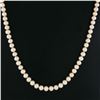 Image 4 : Classic 8-8.5mm Cultured Pearl Strand Necklace w/ 14k Gold Diamond Cut Clasp