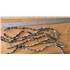 Image 1 : Seven Strands of Kamagong Grooved Peanut Wood Beads