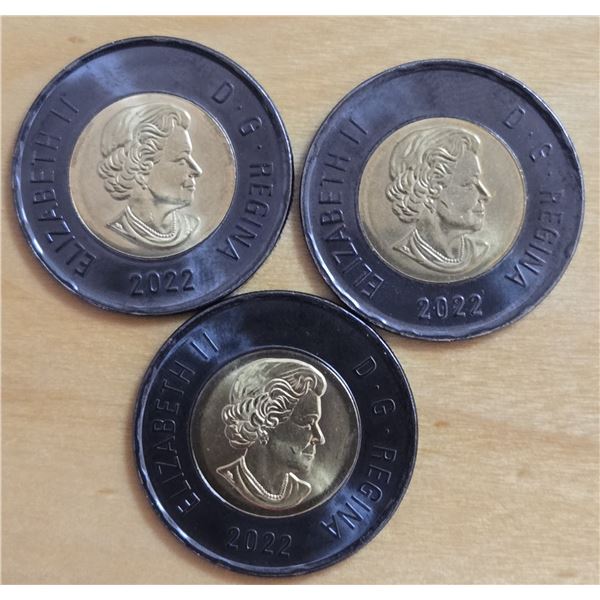 Three Circulated 2022 Black Toonies