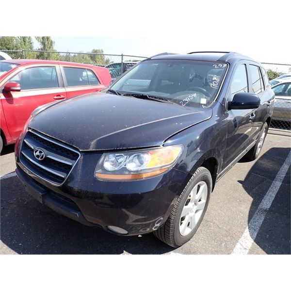 2009 Hyundai Santa Fe