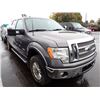Image 2 : 2012 Ford F-150