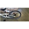 Image 2 : GIANT YOUTH TAG ALONG BIKE