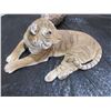 Image 1 : COLLECTABLE:  SANDY CAST TIGER LAYING ORNAMENT (APPROX. 12"W X 7"L X 5"H)