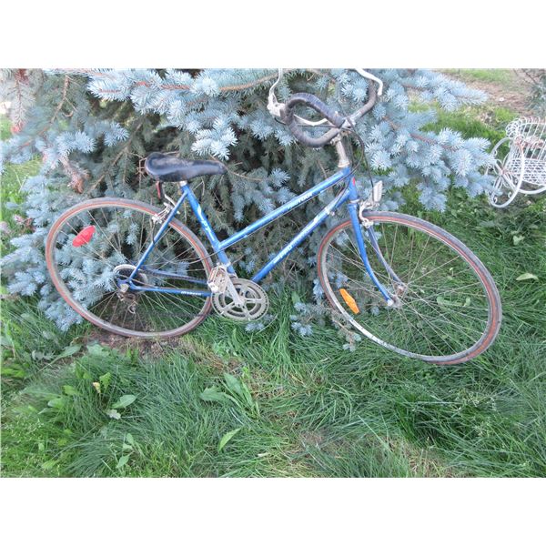 PROTOUR 10 SPEED BICYCLE