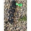 Image 2 : 12' X 3/8" CHAIN (NO HOOKS)